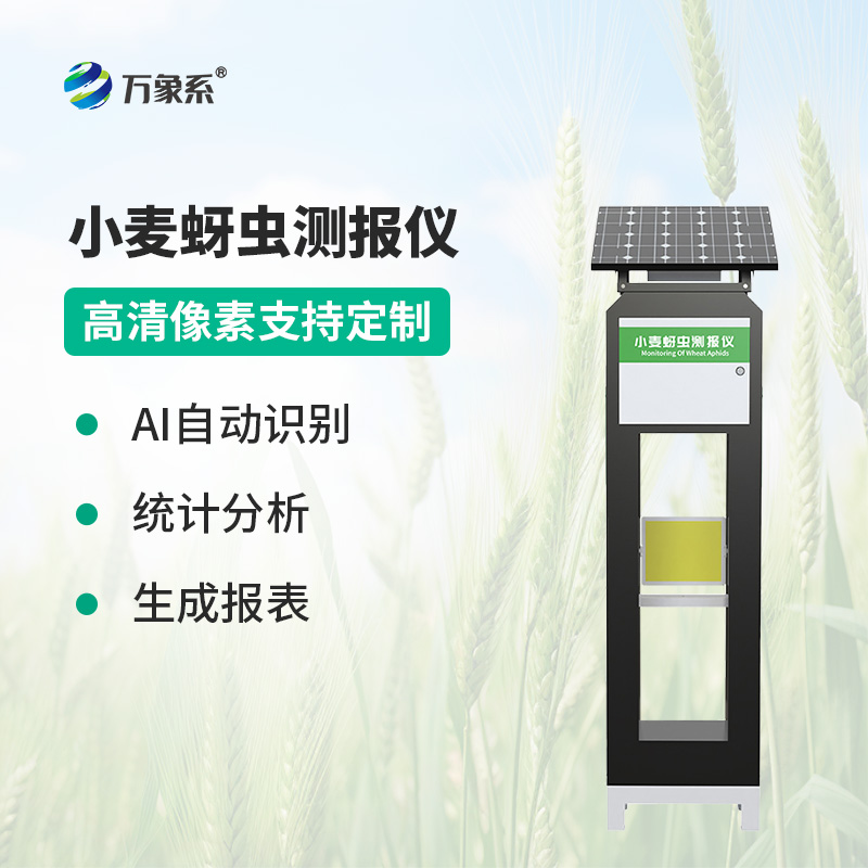 智能传感器助力精准农业,小麦蚜虫测报仪防控有了新手段