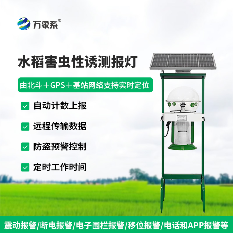 水稻田性诱测报灯：虫害监测的“绿色精灵”