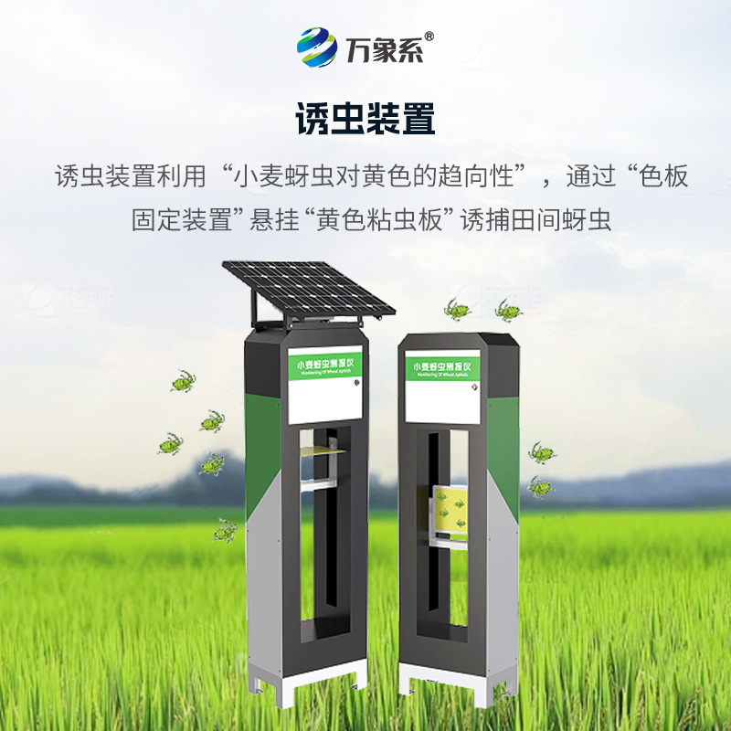 揭秘小麦蚜虫测报仪的“虫情密码”