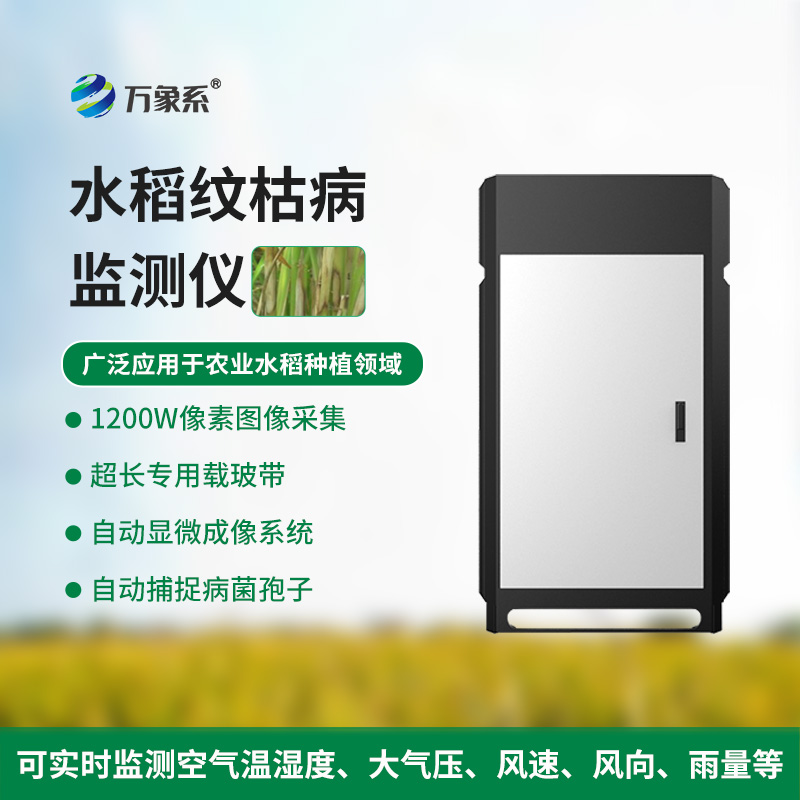 水稻纹枯病监测仪:稻田“双能守护者”的精准守护